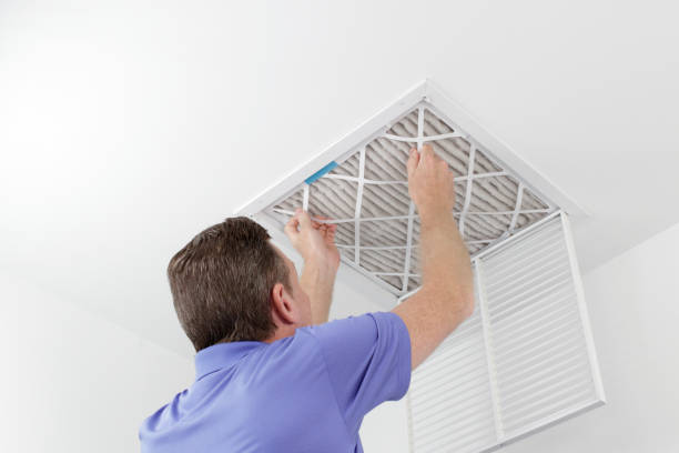 Best Mold and Mildew Removal from Ducts in Ardsley, NY